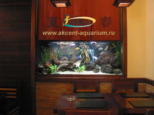 Акцент-аквариум,аквариум 400 литров прямоугольный,ресторан